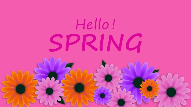 Colorful spring flowers with hello spring text on pink background. Vector stock illustration.