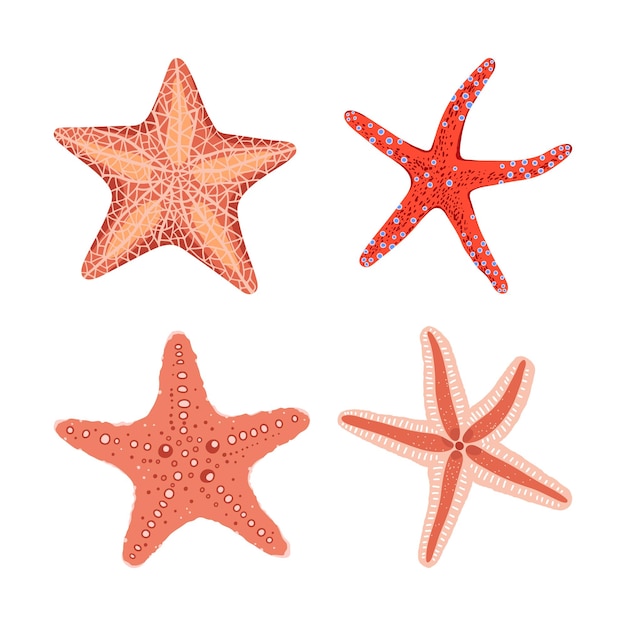 Красочные морские звезды на белом фоне. ручная рисованная векторная иллюстрация подводной жизни
