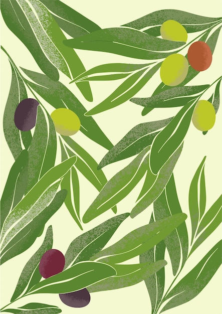 Colorful texture background with olive branches Ripe olives on green branches in modern style