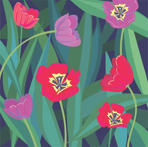 Colorful tulips with leaves