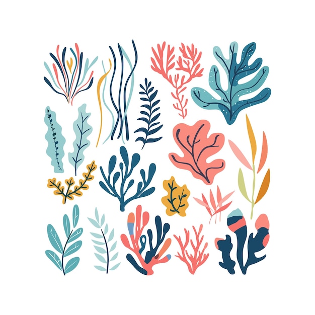 colorful vector art with seaweed illustration set