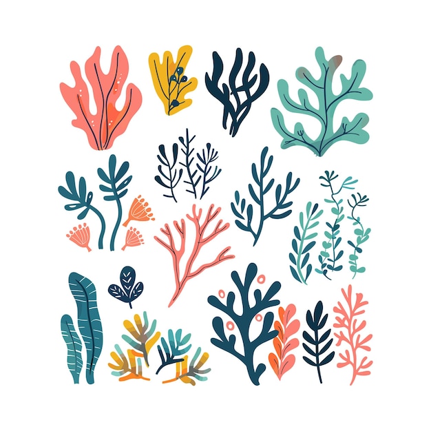 colorful vector art with seaweed illustration set