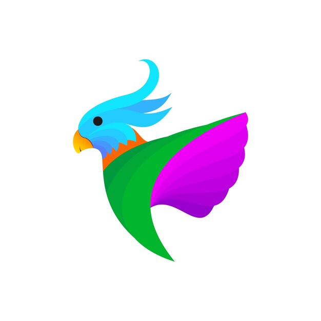 colorful vector bird animal