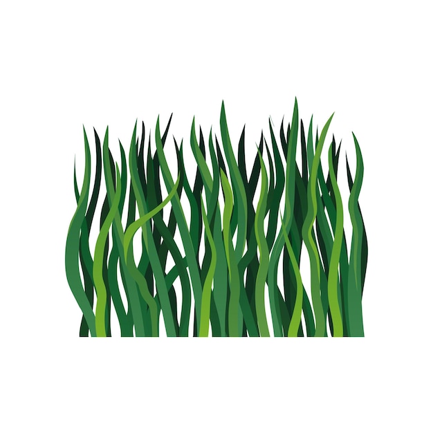 Colorful vector icon of long green grass Element of spring or summer season Decorative herbal border