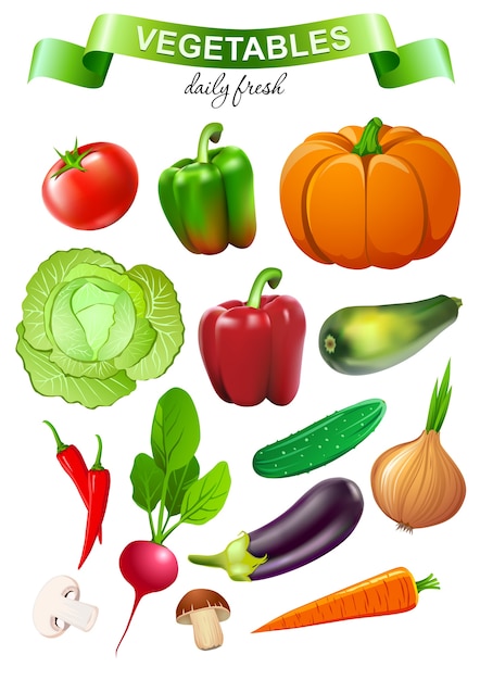 Colorful vegetable collection for food market advertising products