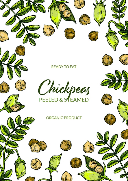 Colorful vertical chickpeas design Hand drawn illustration in colored sketch style