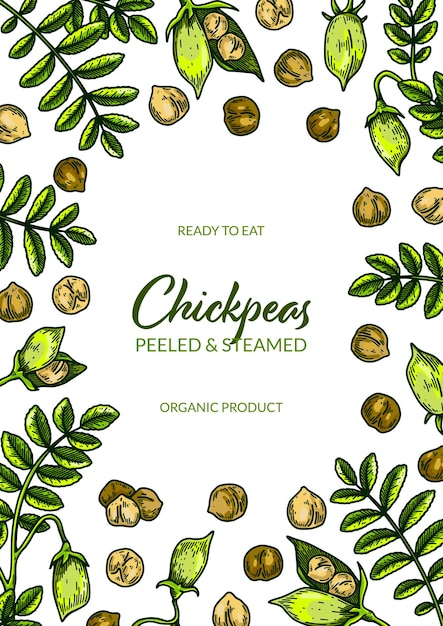 Colorful vertical chickpeas design hand drawn illustration in colored sketch style