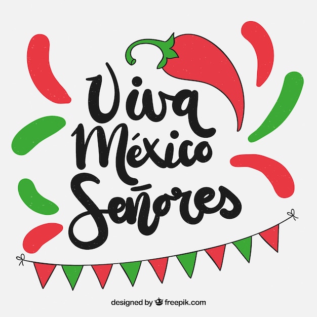 Colorful viva mexico background