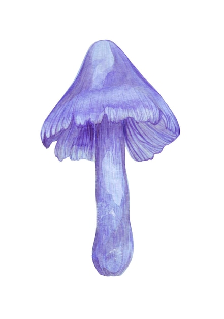 Colorful watercolor illustration of fantasy blue mushroom