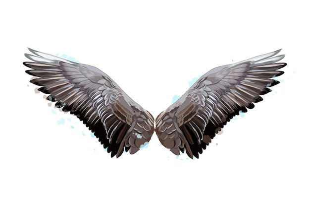 Вектор Красочные крылья от всплеска акварель цветной рисунок векторная иллюстрация красок