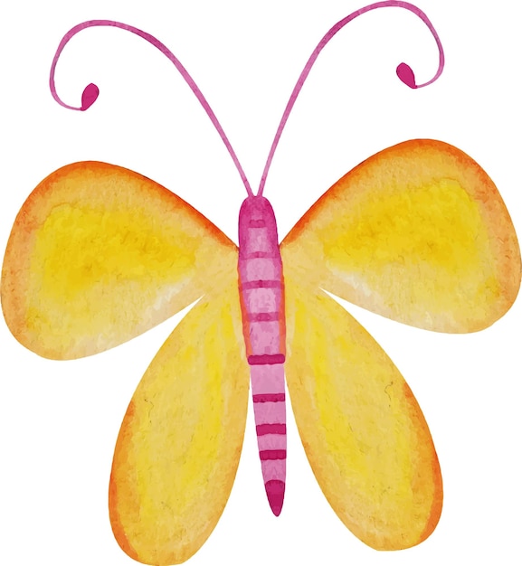 Colorful yellow butterfly watercolor drawing of a butterfly on