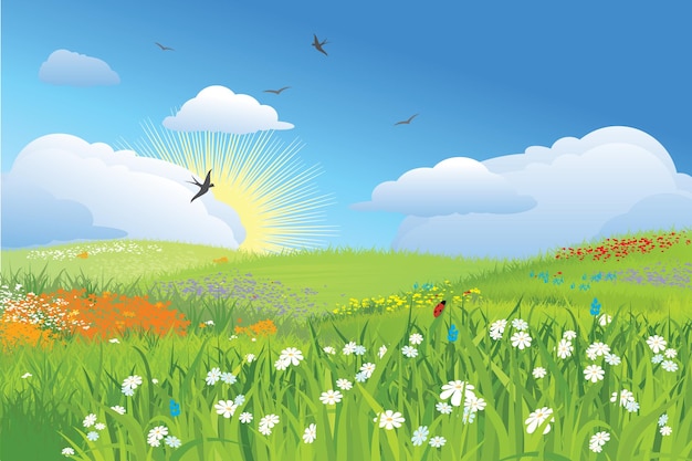 Colorfull meadow flower and grass vector
