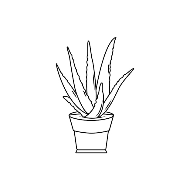 coloring book aloe vera black and white