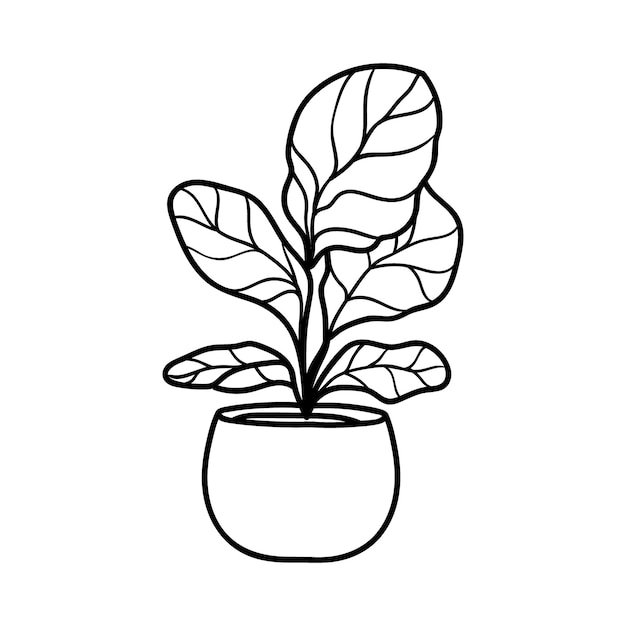 coloring book beautiful plant black and white