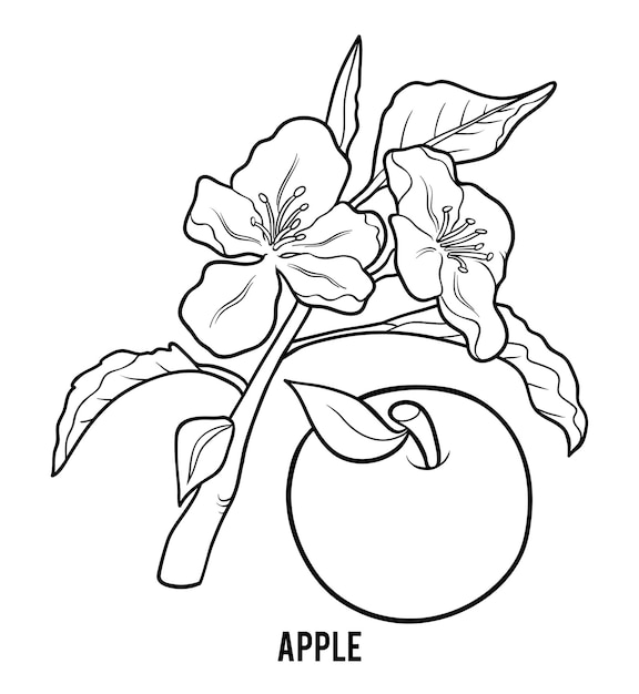 Coloring book for children, Apple tree