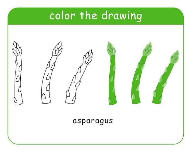 Coloring book for children Asparagus in color and black and white