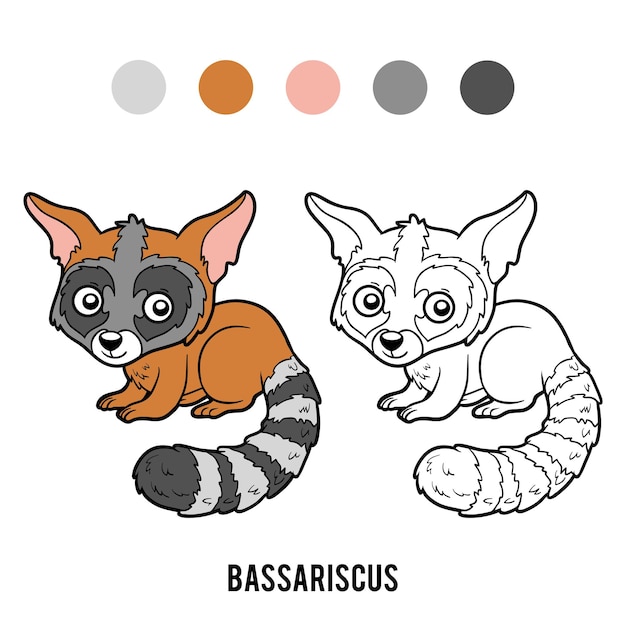 Coloring book for children, Bassariscus