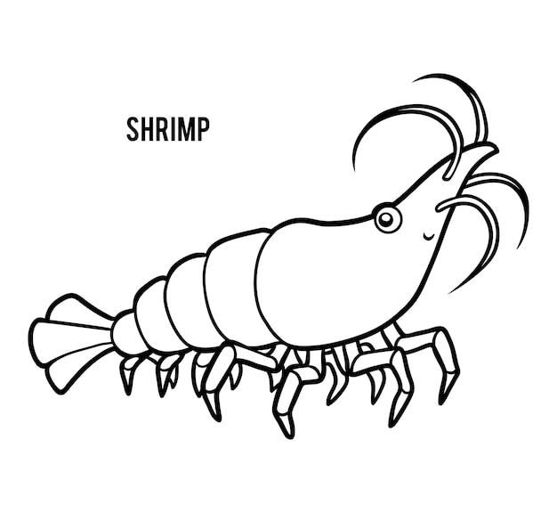 Coloring book for children, cartoon animal shrimp