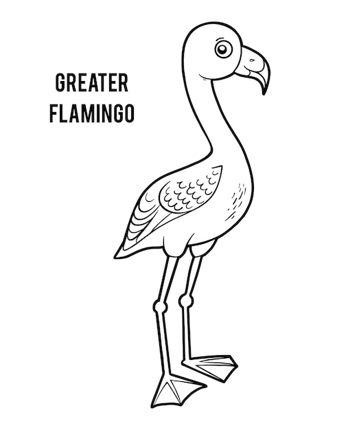 Vector coloring book for children cartoon bird greater flamingo