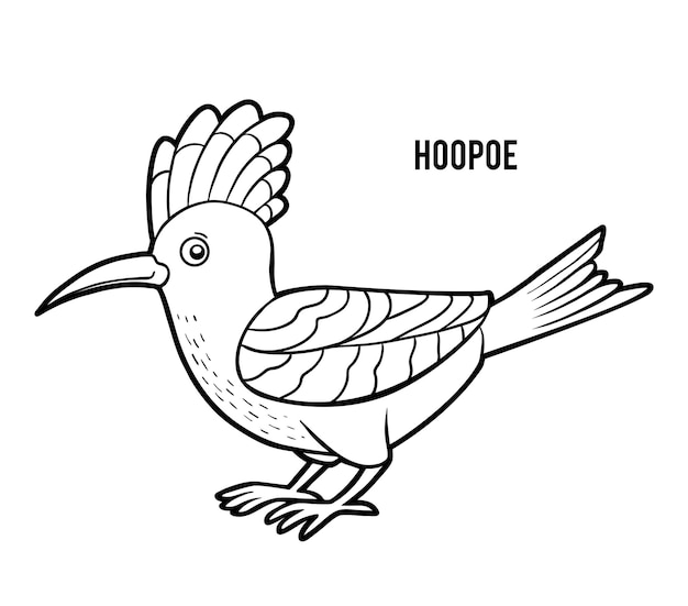 Coloring book for children cartoon bird Hoopoe