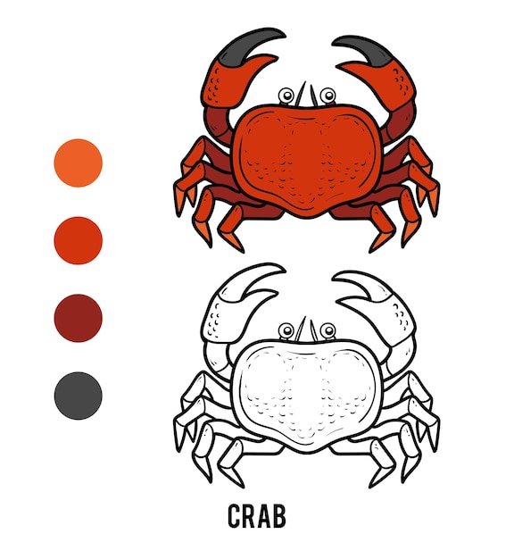 Coloring book for children Crab