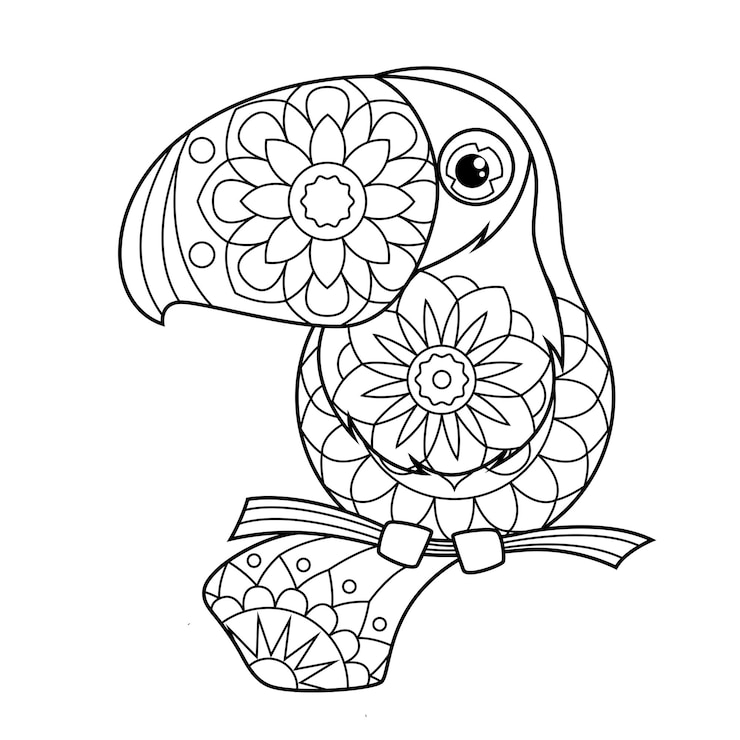 Coloring book for children Cute toucan in zentangle style