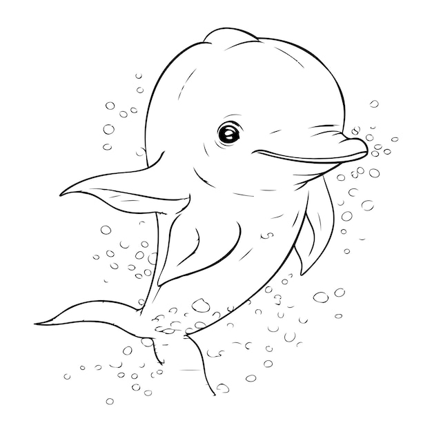 Vector coloring book for children dolphin coloring page for adults