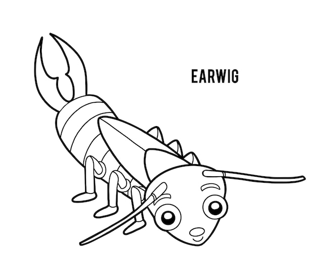 Coloring book for children earwig