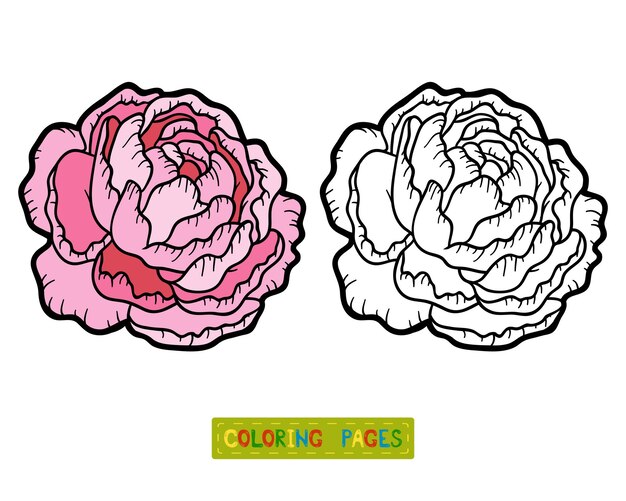 Libro da colorare per bambini, fiore di peonia