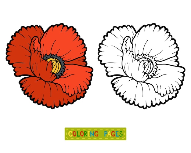 Coloring book for children, flower Poppy