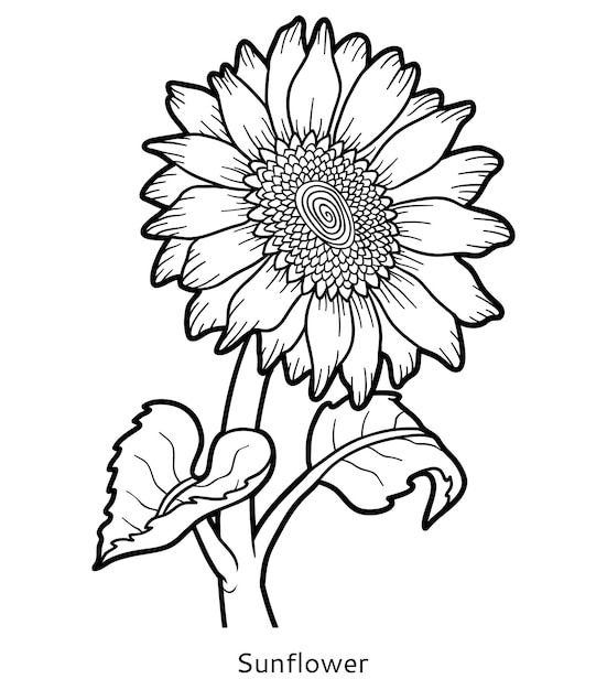 Libro da colorare per bambini, fiore di girasole