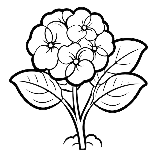 Coloring book for children flowers violets