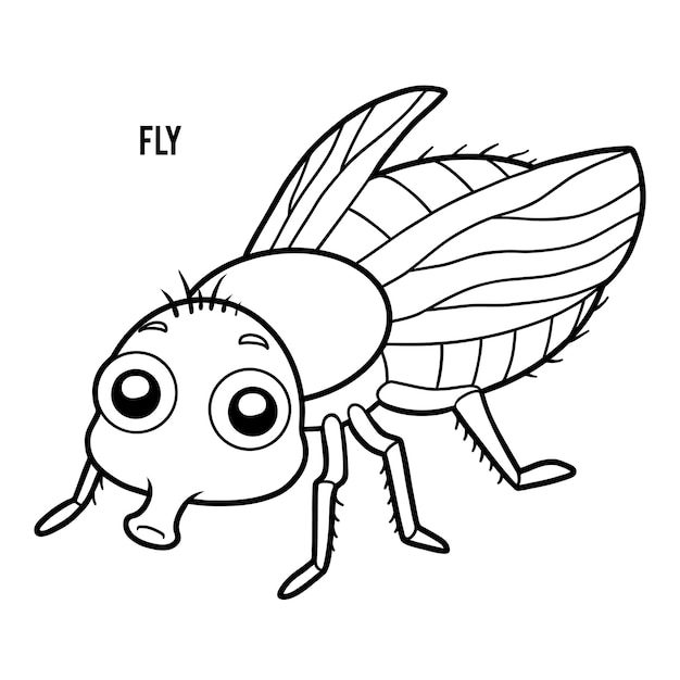 Coloring book for children Fly