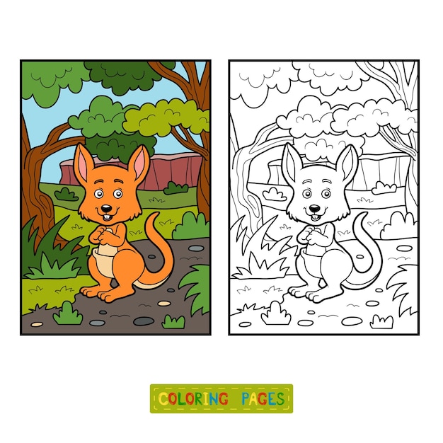 Coloring book for children Kangaroo