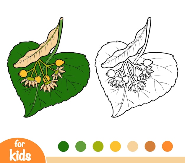 Vector coloring book for children, linden branch