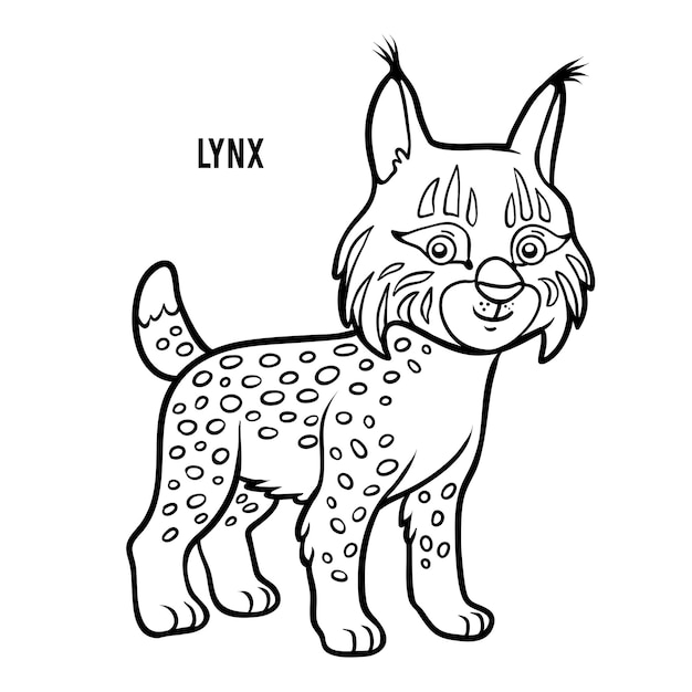 Libro da colorare per bambini, lynx