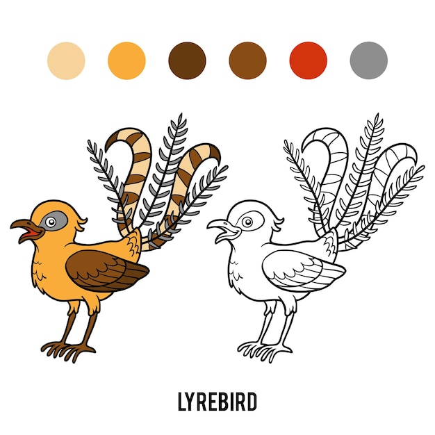 Vector coloring book for children, lyrebird