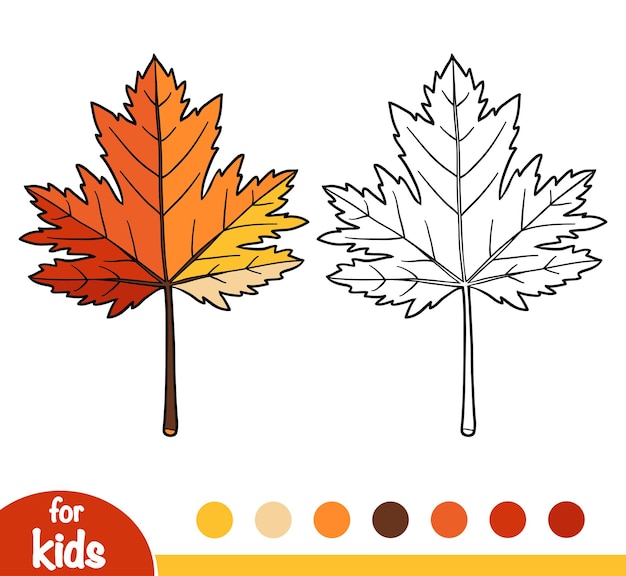 Vector coloring book for children, maple leaf