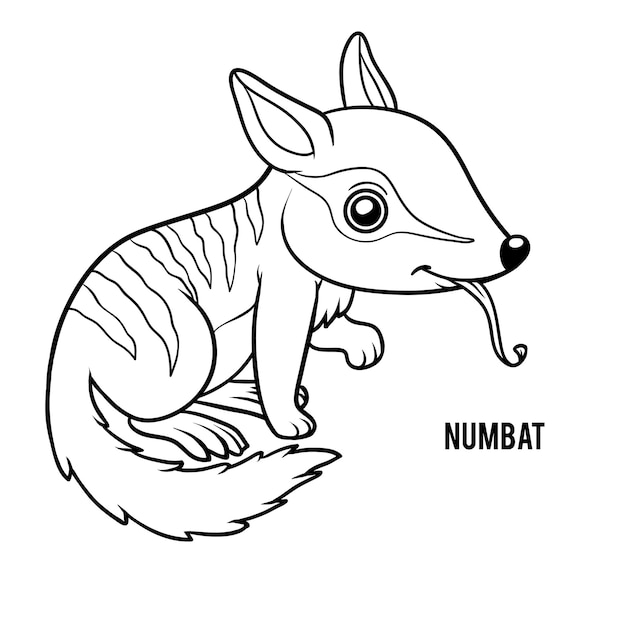 Coloring book for children, Numbat