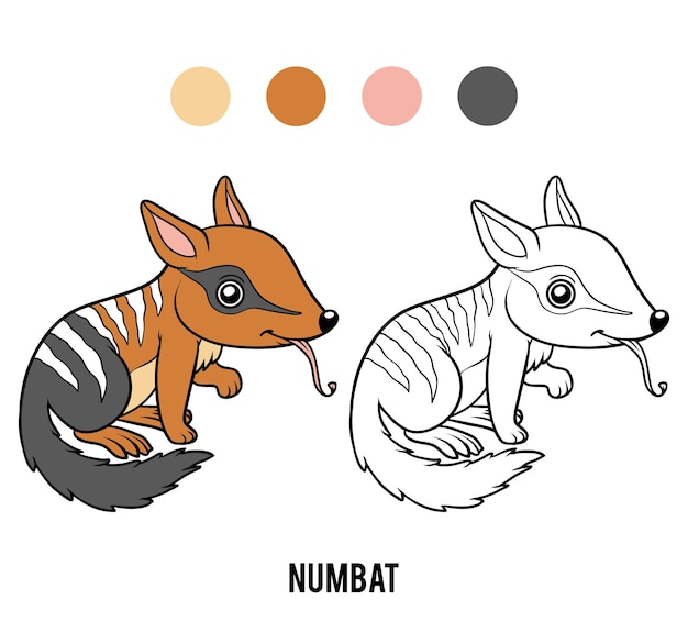 Libro da colorare per bambini, numbat