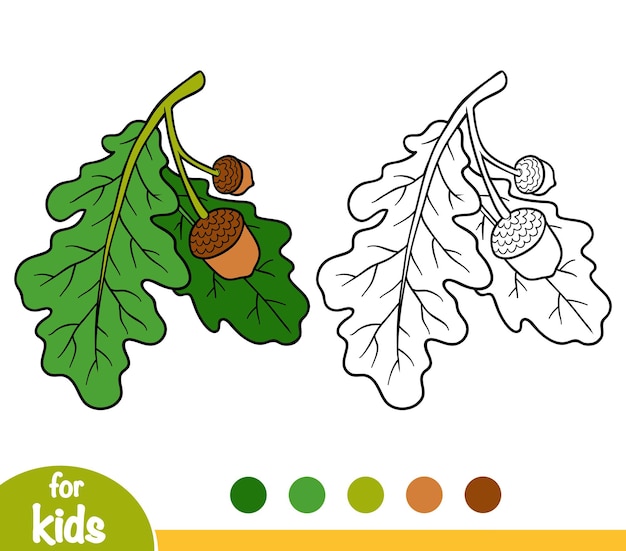 Coloring book for children, oak branch