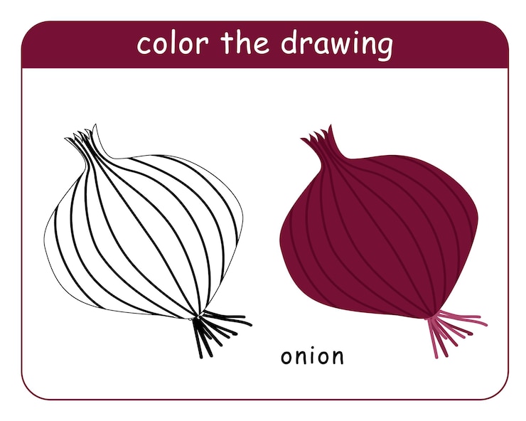 Vector coloring book for children onion head in color and black and white