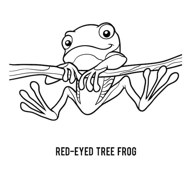 Vector coloring book for children, red-eyed tree frog