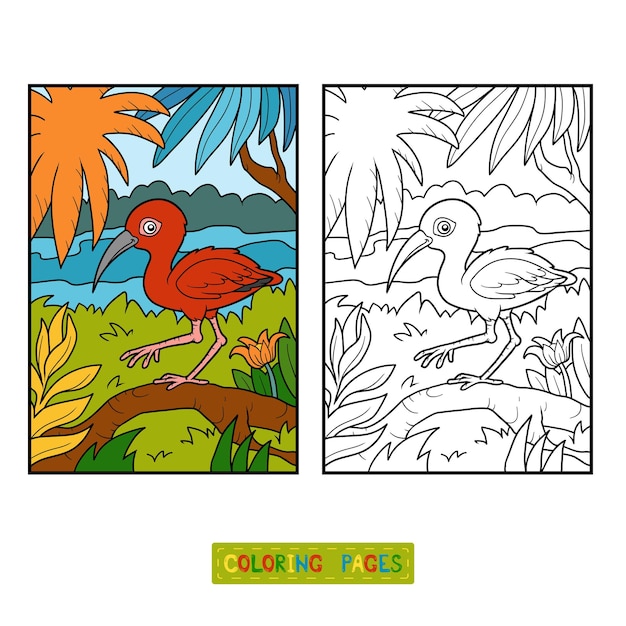 Coloring book for children, scarlet ibis