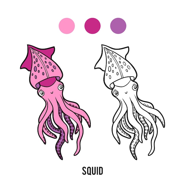 Coloring book for children, Squid