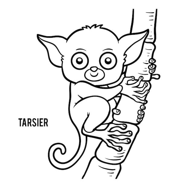 Coloring book for children, Tarsier