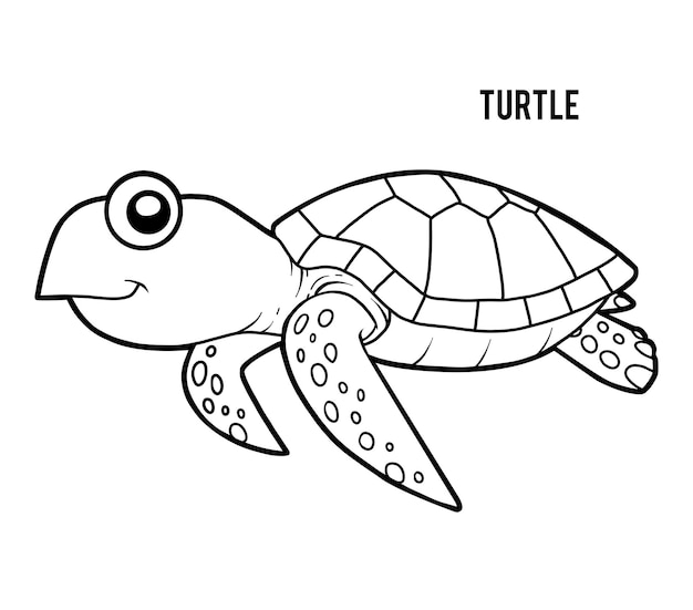 Coloring book for children Turtle