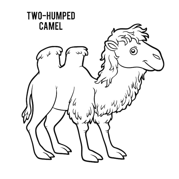 Coloring book for children, two-humped camel