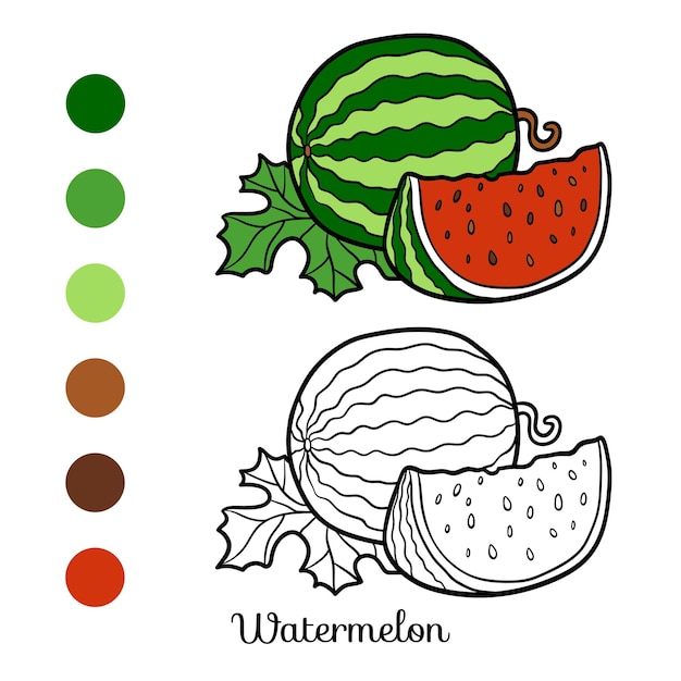 Vector coloring book for children, watermelon