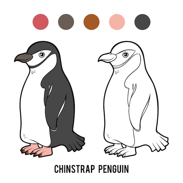 Coloring book Chinstrap penguin